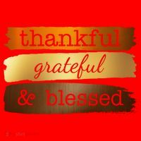 Thankful Grateful Blessed Thanksgiving Holiday Santa Hat thumb 1