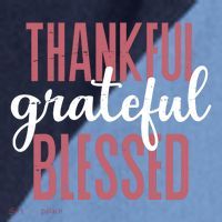 Thankful Grateful Blessed Cute Holiday Raglan Baseball Sleeve Shirt thumb 2