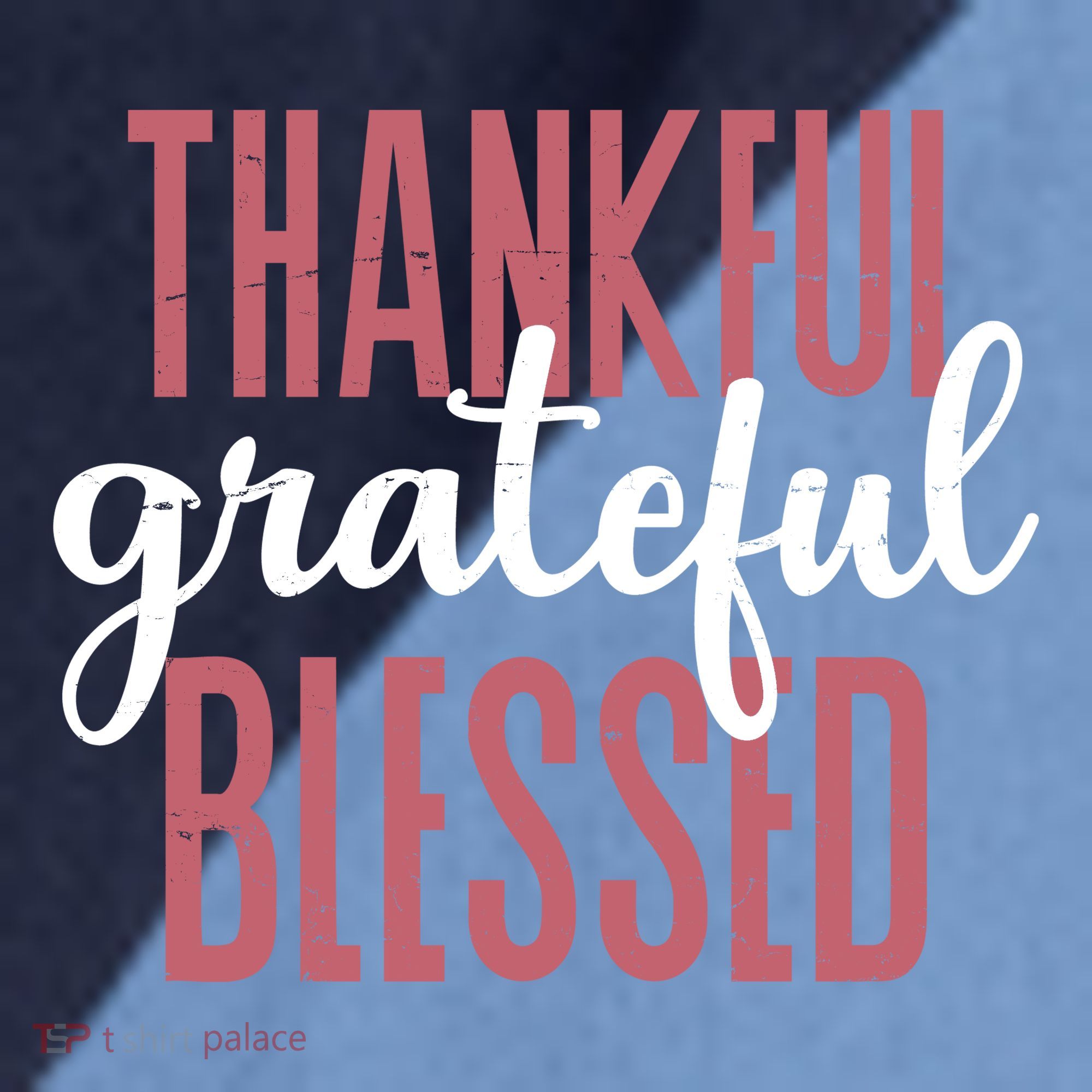 Thankful Grateful Blessed Cute Holiday Raglan Baseball Sleeve Shirt