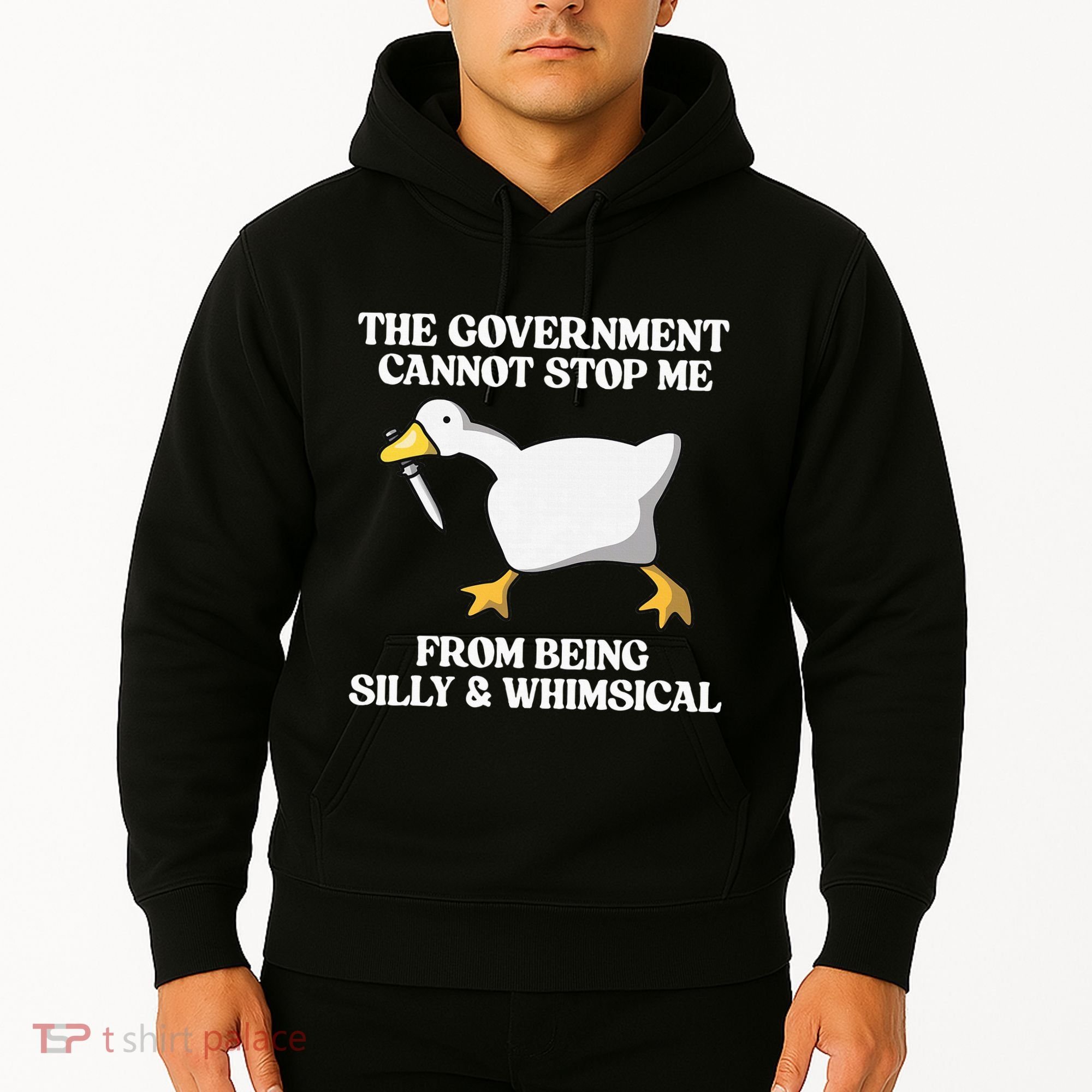 The Government Cannot Stop Me From Being Silly And Whimsical Hoodie