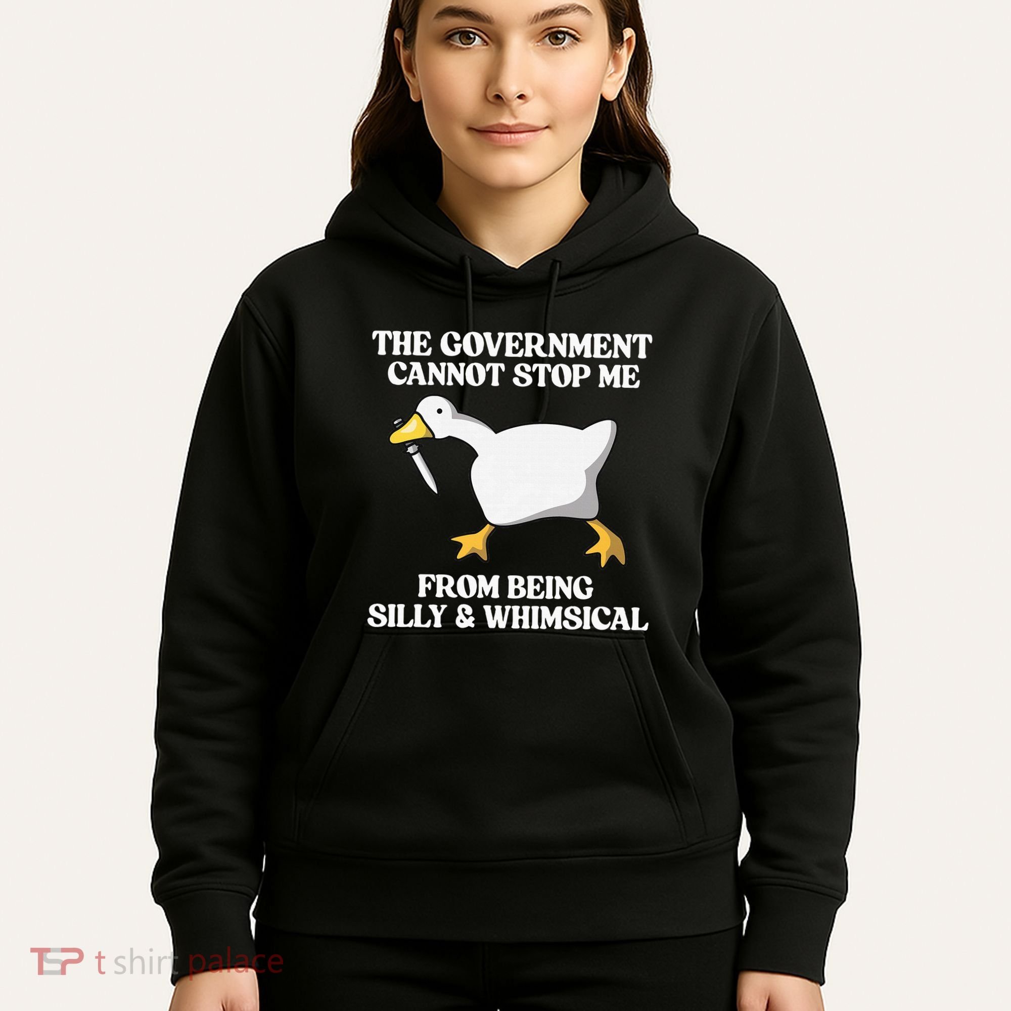 The Government Cannot Stop Me From Being Silly And Whimsical Hoodie