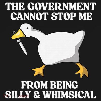 The Government Cannot Stop Me From Being Silly And Whimsical Hoodie