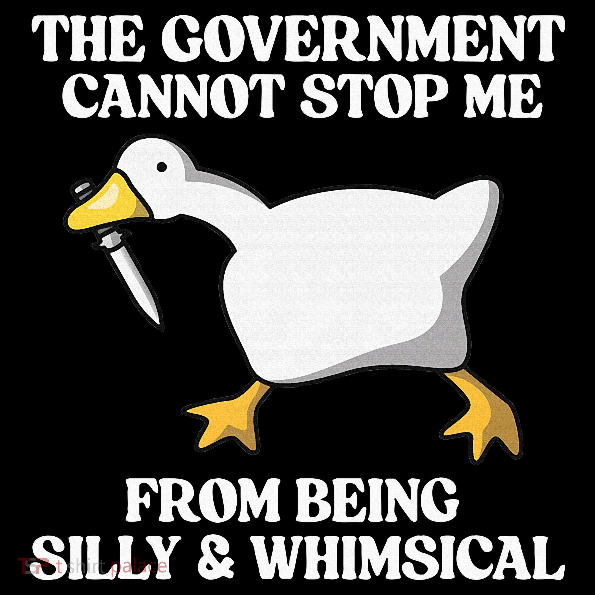 The Government Cannot Stop Me From Being Silly And Whimsical Hoodie