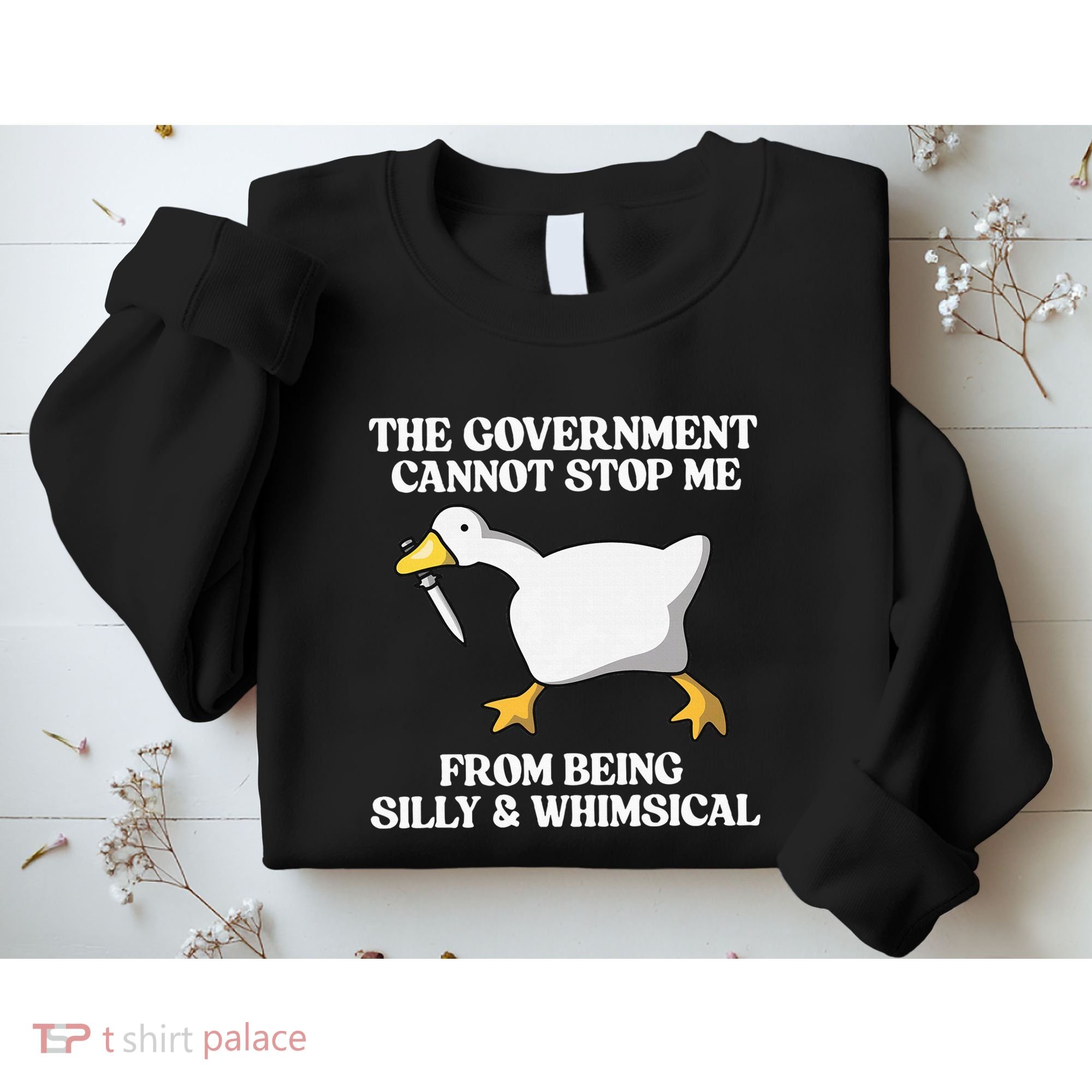 The Government Cannot Stop Me From Being Silly And Whimsical Sweatshirt