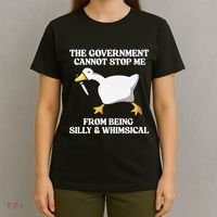 The Government Cannot Stop Me From Being Silly And Whimsical T-Shirt thumb 4
