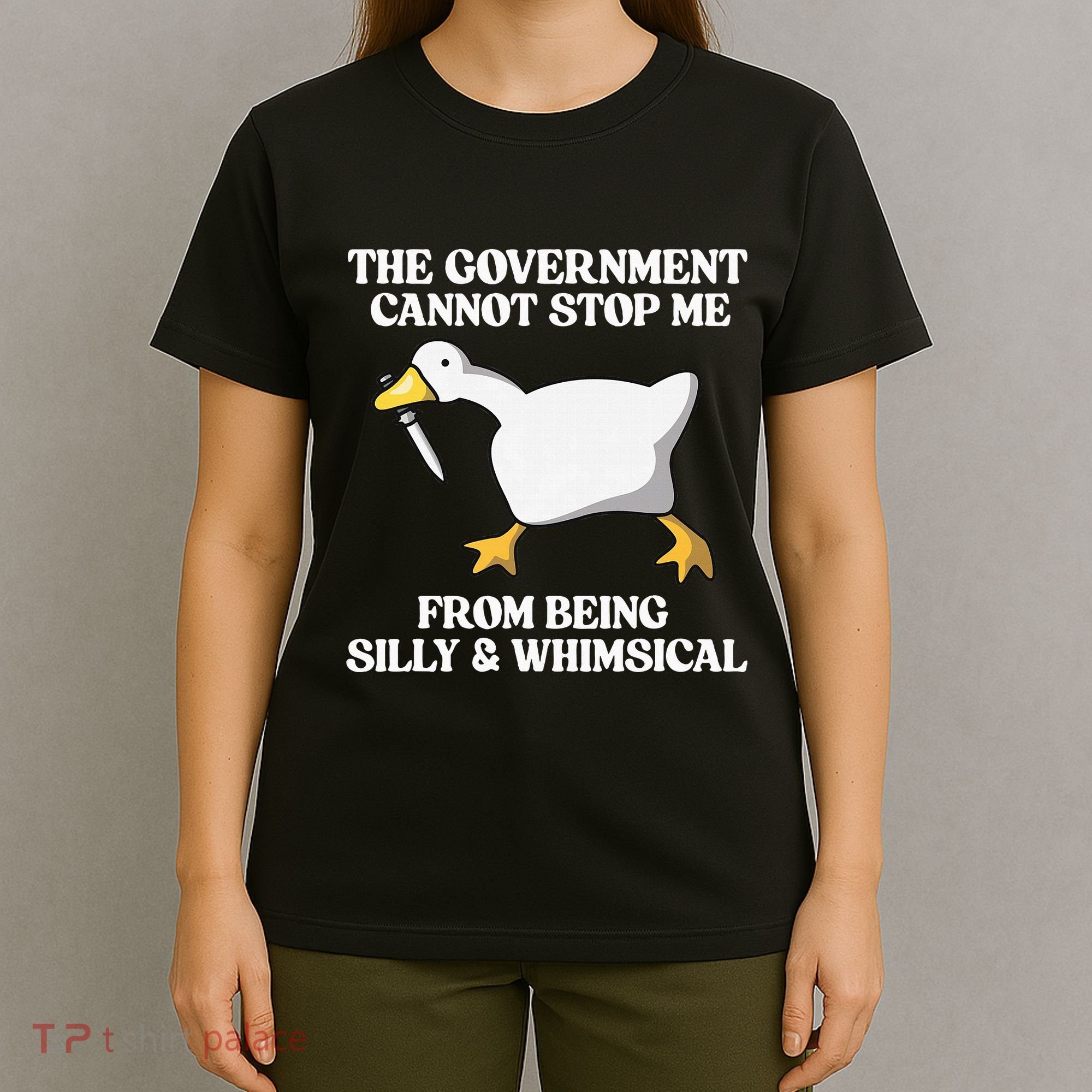 The Government Cannot Stop Me From Being Silly And Whimsical T-Shirt