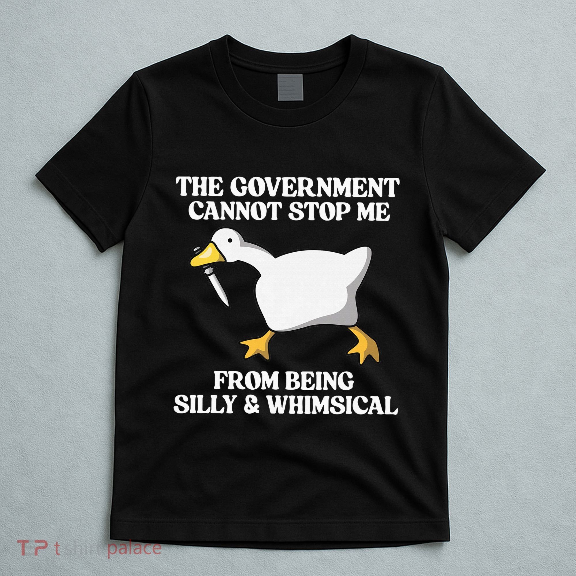 The Government Cannot Stop Me From Being Silly And Whimsical T-Shirt