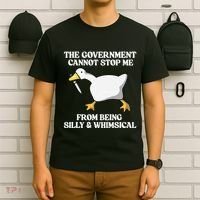 The Government Cannot Stop Me From Being Silly And Whimsical T-Shirt thumb 6