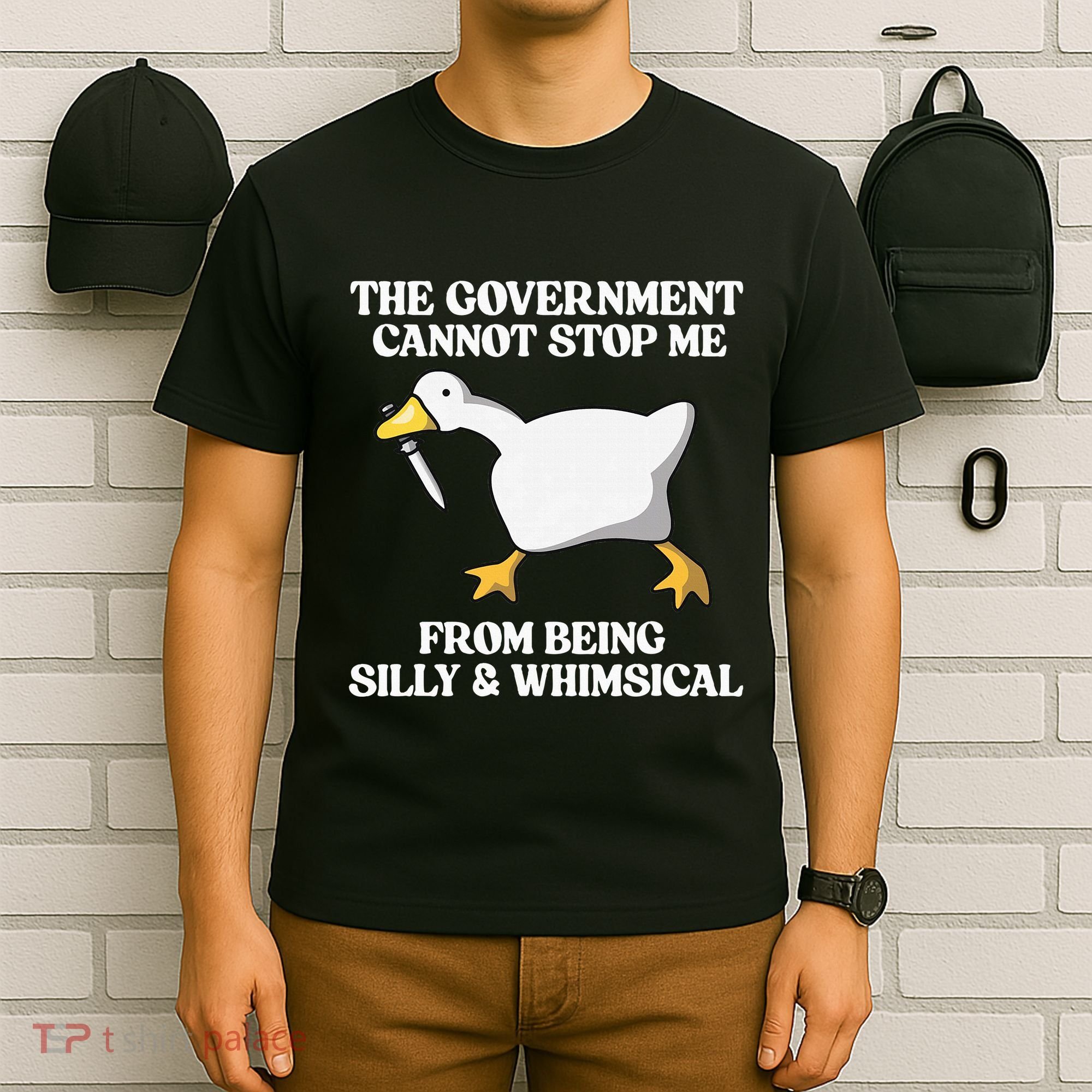 The Government Cannot Stop Me From Being Silly And Whimsical T-Shirt