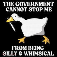 The Government Cannot Stop Me From Being Silly And Whimsical Women's Hoodie thumb 2