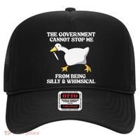 The Government Cannot Stop Me From Being Silly And Whimsical Hat thumb 0