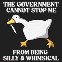 The Government Cannot Stop Me From Being Silly And Whimsical Hat thumb 2