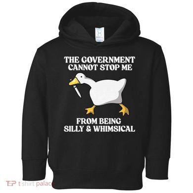 The Government Cannot Stop Me From Being Silly And Whimsical Toddler Hoodie