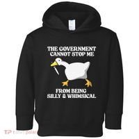 The Government Cannot Stop Me From Being Silly And Whimsical Toddler Hoodie thumb 0