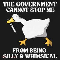 The Government Cannot Stop Me From Being Silly And Whimsical Tank Top thumb 6