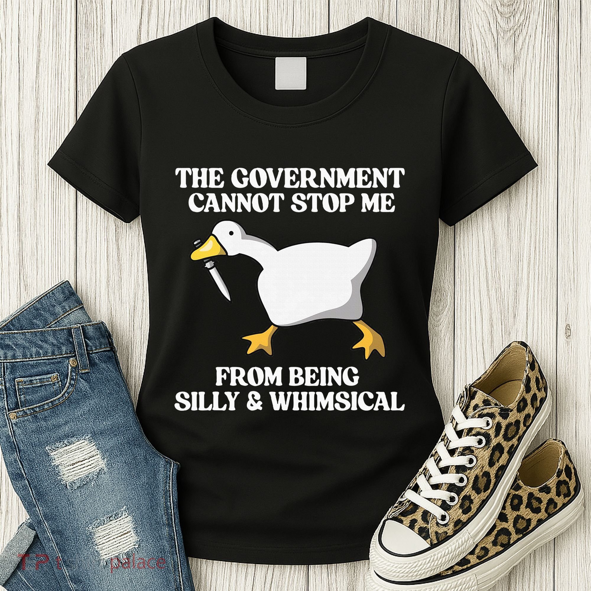 The Government Cannot Stop Me From Being Silly And Whimsical Women's T-Shirt