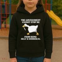 The Government Cannot Stop Me From Being Silly And Whimsical Kids Hoodie thumb 3