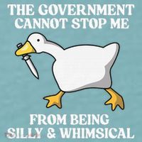 The Government Cannot Stop Me From Being Silly And Whimsical Sueded Cloud Jersey T-Shirt thumb 2