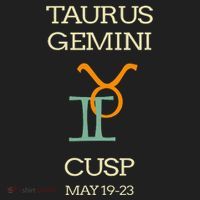 Taurus Gemini Cusp Zodiac Horoscope Gift Tumbler thumb 3