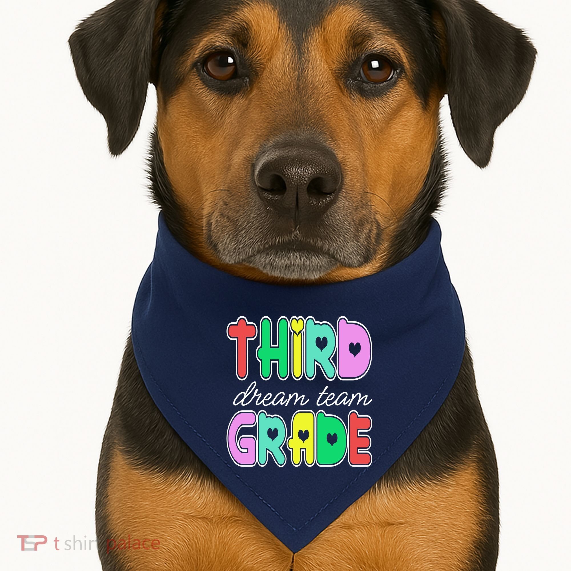 Third Grade Dream Team Back To School USA-Made Doggie Bandana