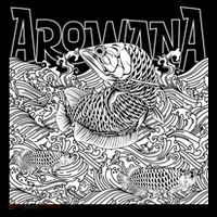 The Golden Fish Arowana Coaster thumb 2