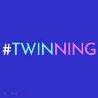 Twinning Gift Funny Twins Matching Fraternal Or Identical Meaningful Gift Kids Hoodie thumb 5