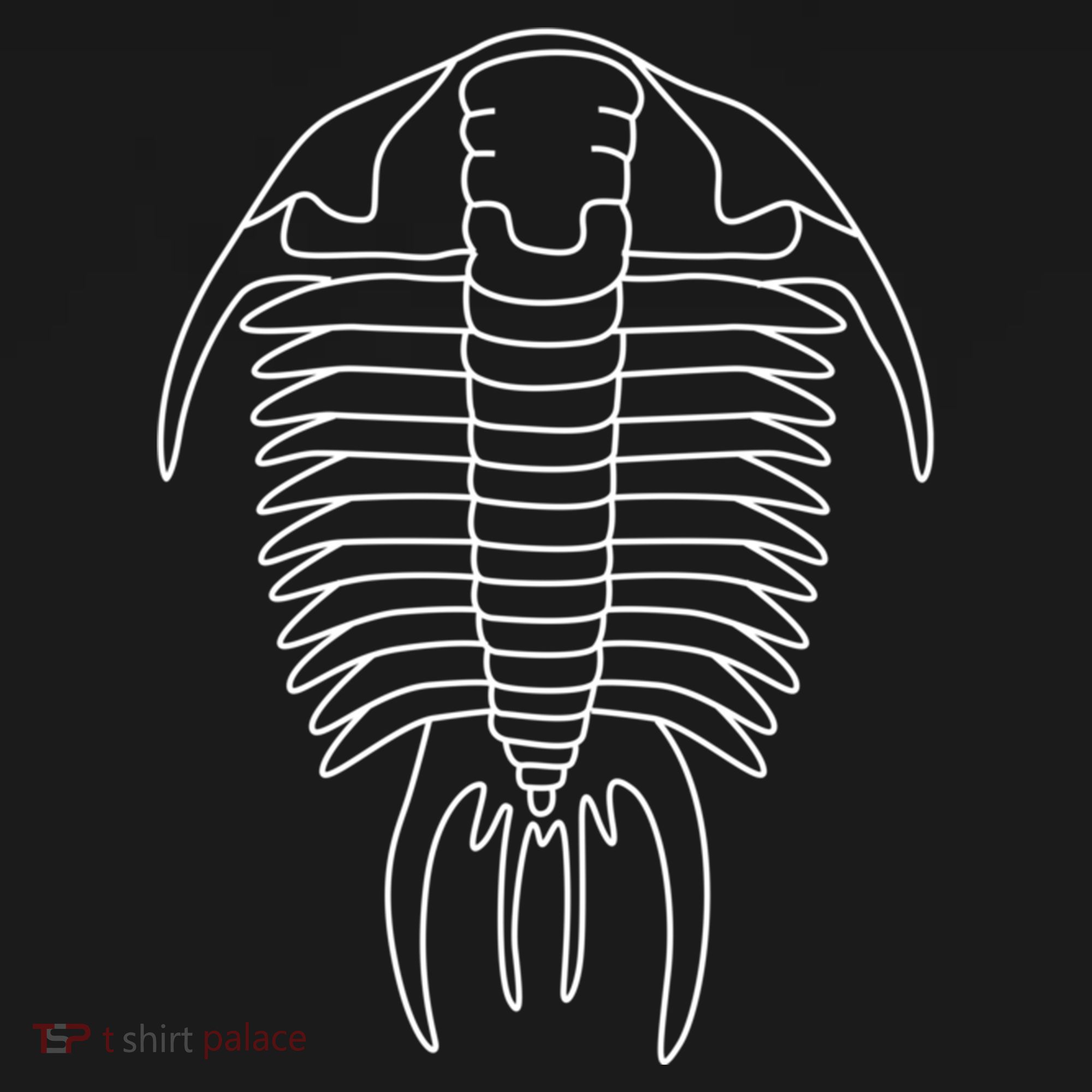 Trilobite Geology Geologist Fossil Collector Hunting Cool Gift Women's Hoodie