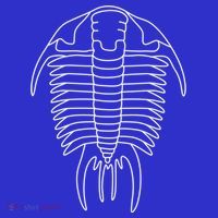 Trilobite Geology Geologist Fossil Collector Hunting Cool Gift Women's Tank Top thumb 5