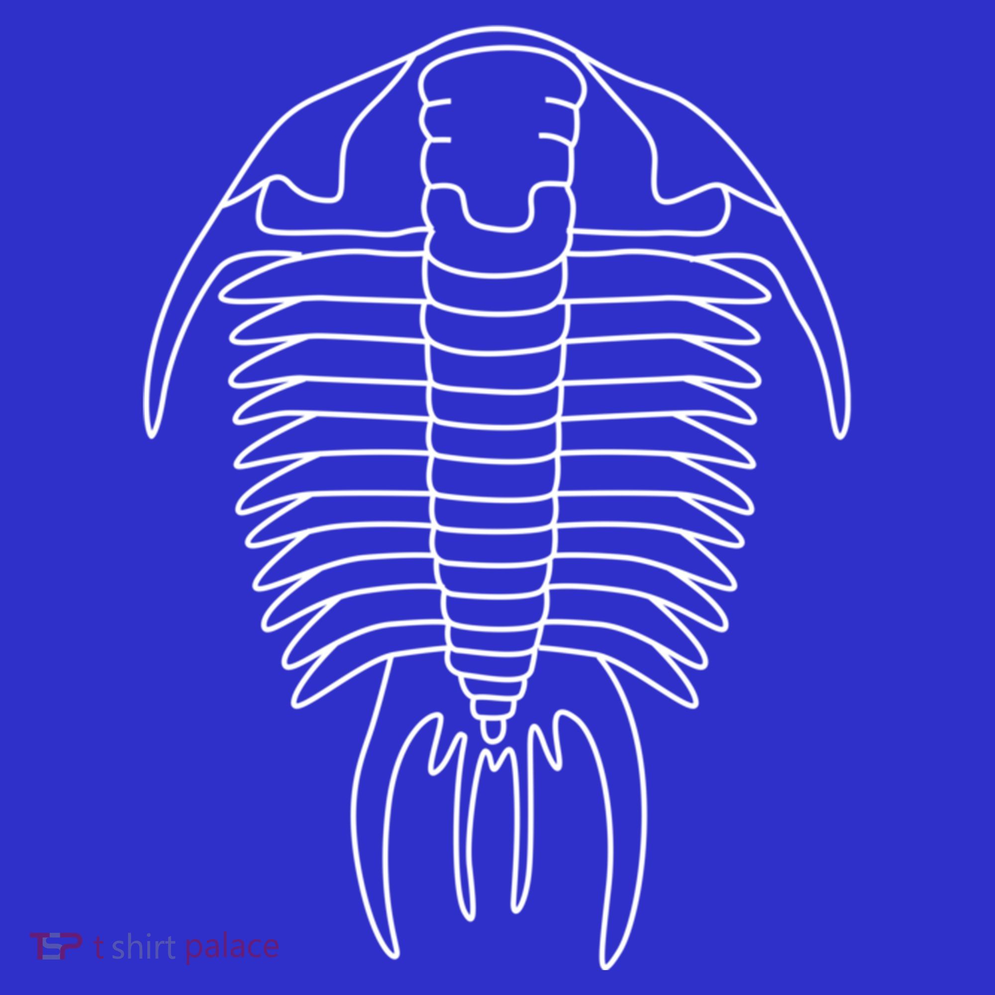 Trilobite Geology Geologist Fossil Collector Hunting Cool Gift Women's Tank Top