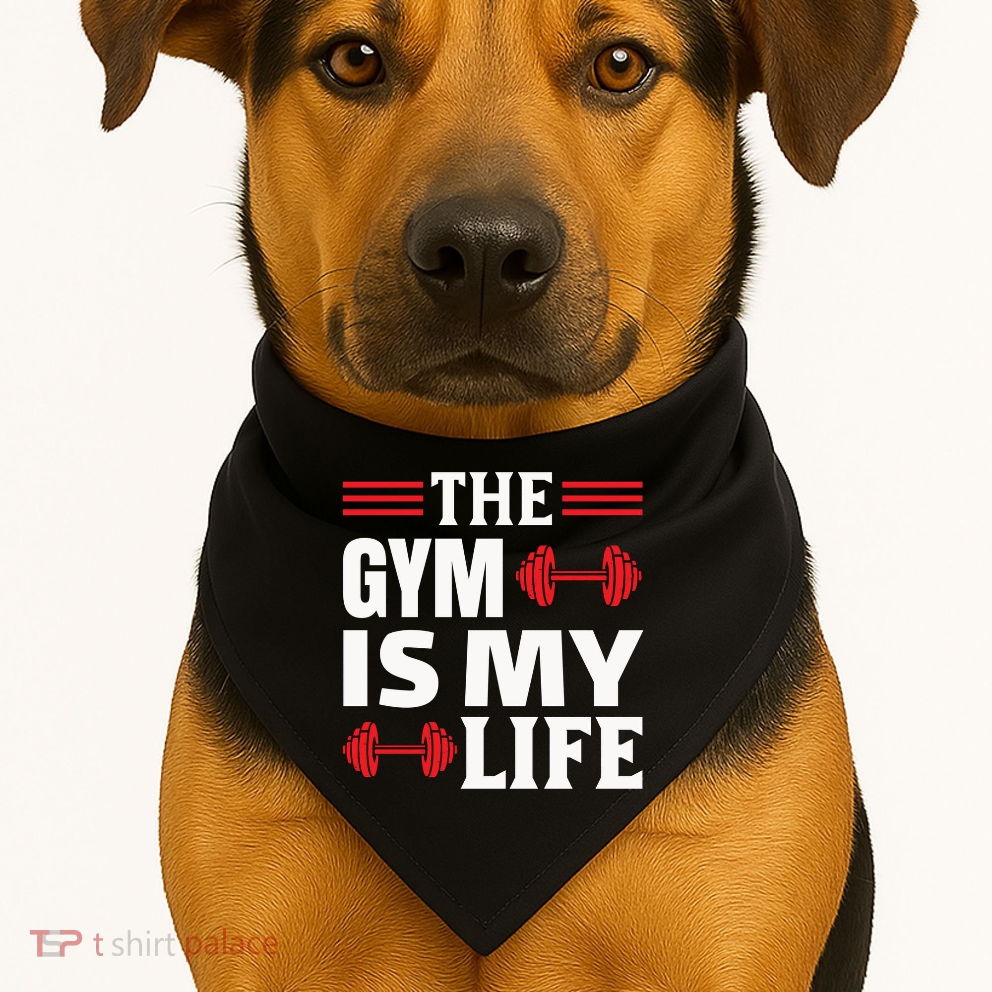 The Gym Is My Life USA-Made Doggie Bandana