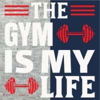The Gym Is My Life Kids Colorblock Raglan Jersey thumb 2