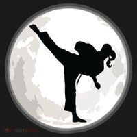 Taekwondo Girl In The Moon Tee Ornament thumb 1