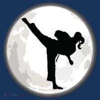 Taekwondo Girl In The Moon Tee Hat thumb 2