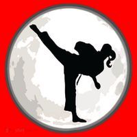 Taekwondo Girl In The Moon Tee Santa Hat thumb 1