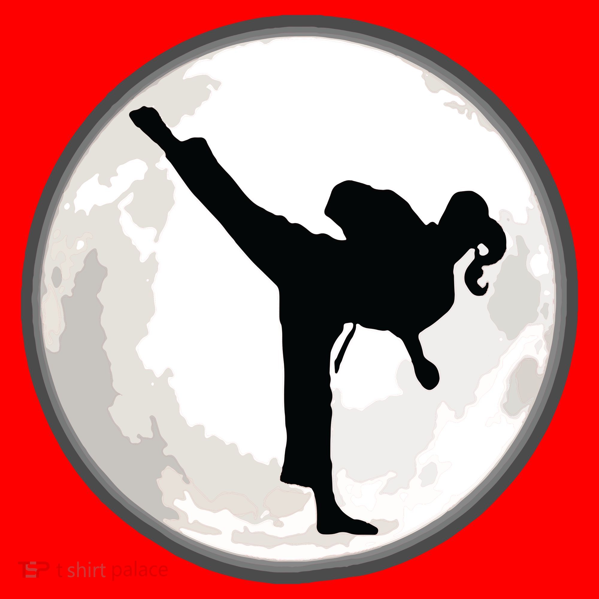 Taekwondo Girl In The Moon Tee Santa Hat