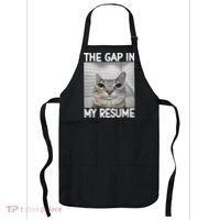 The Gap In My Resume Funny Cat Dank Meme Apron thumb 0
