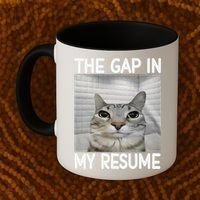 The Gap In My Resume Funny Cat Dank Meme Coffee Mug thumb 2