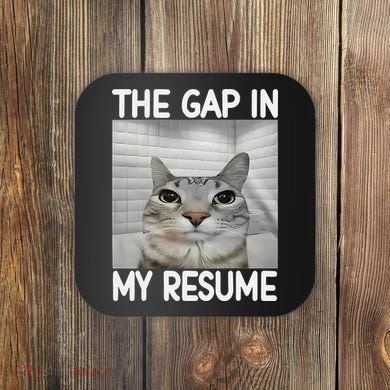 The Gap In My Resume Funny Cat Dank Meme Coaster