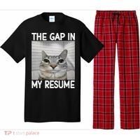 The Gap In My Resume Funny Cat Dank Meme Pajama Set thumb 0