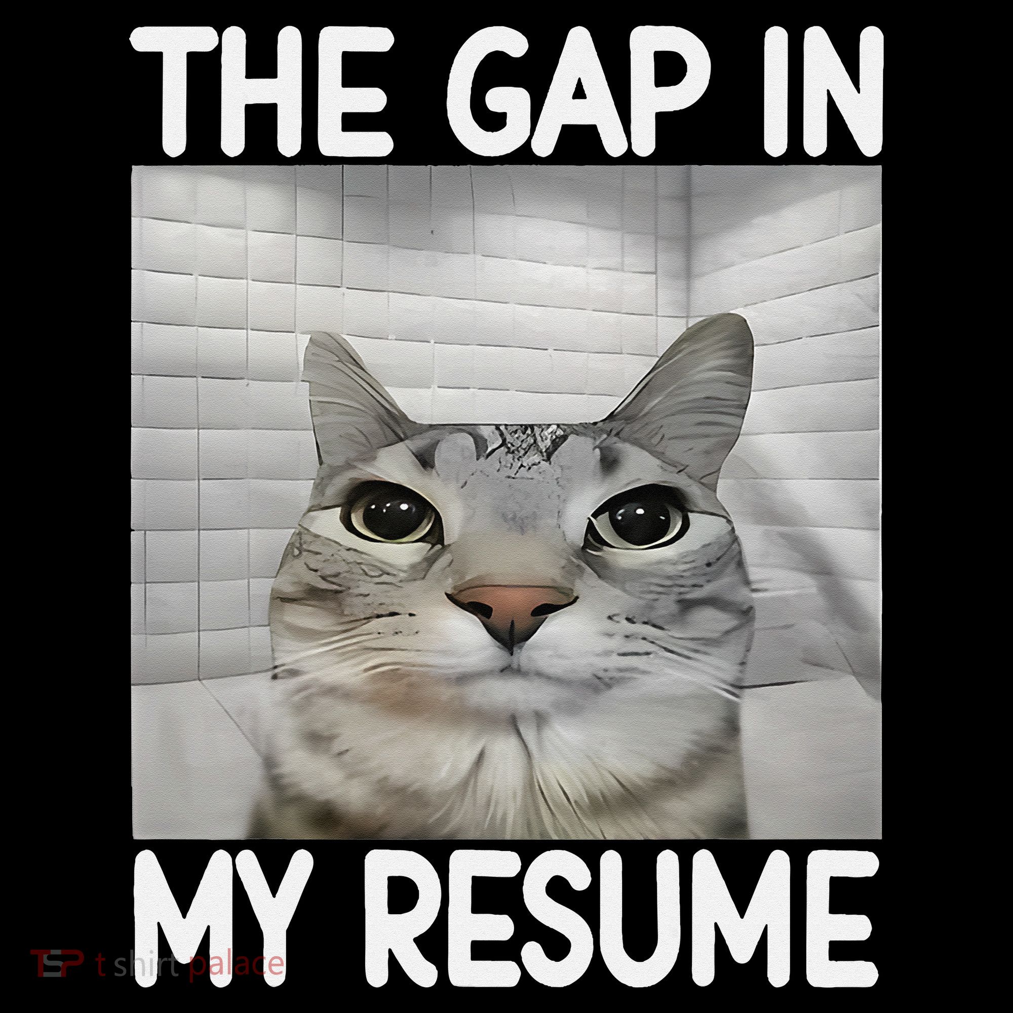 The Gap In My Resume Funny Cat Dank Meme Women's Hoodie