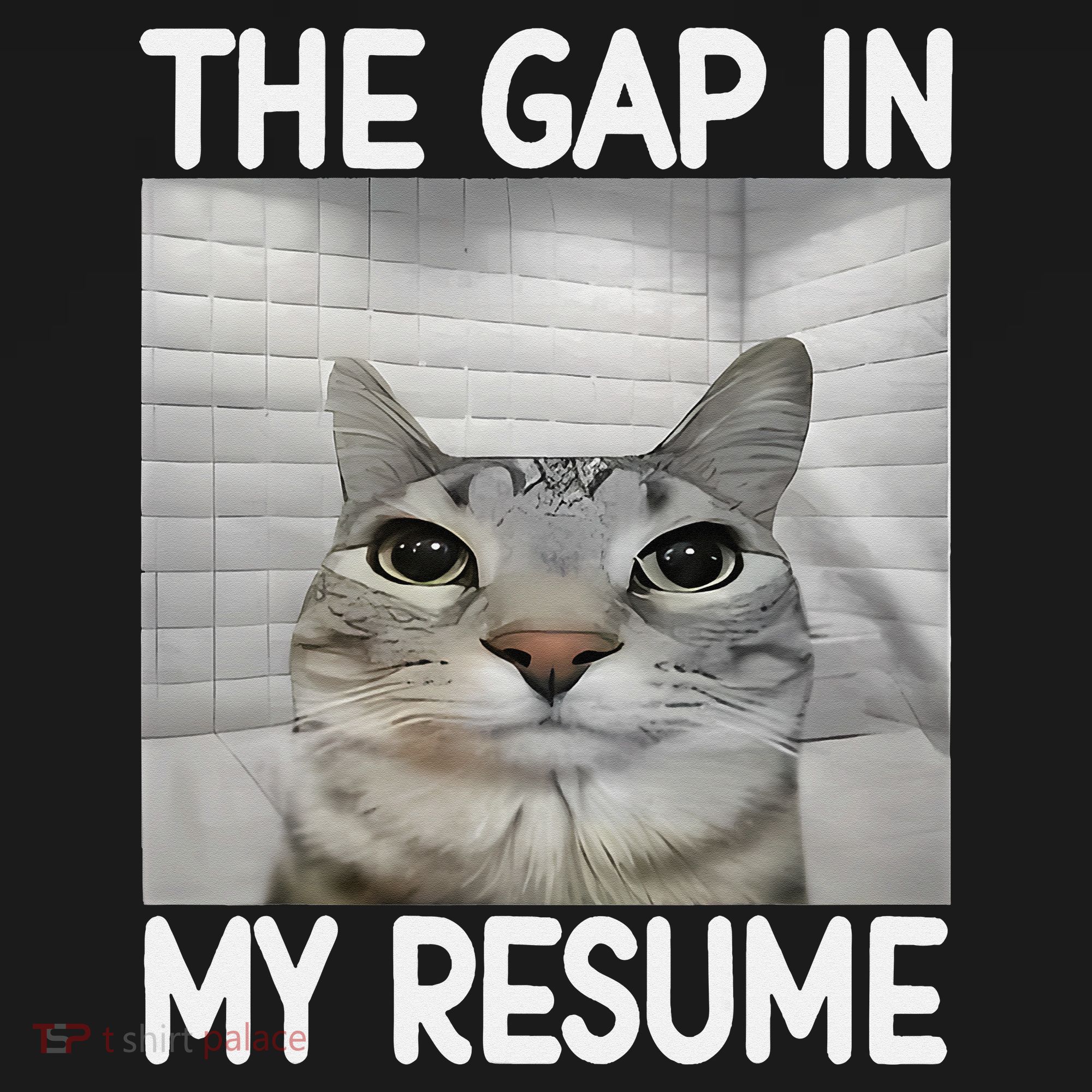The Gap In My Resume Funny Cat Dank Meme Women's Tank Top