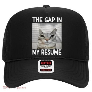 The Gap In My Resume Funny Cat Dank Meme Hat