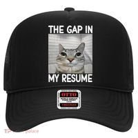 The Gap In My Resume Funny Cat Dank Meme Hat thumb 0