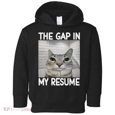 The Gap In My Resume Funny Cat Dank Meme Toddler Hoodie