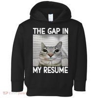 The Gap In My Resume Funny Cat Dank Meme Toddler Hoodie thumb 0