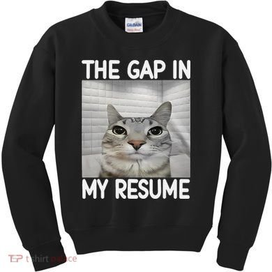 The Gap In My Resume Funny Cat Dank Meme Kids Sweatshirt