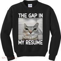 The Gap In My Resume Funny Cat Dank Meme Kids Sweatshirt thumb 0