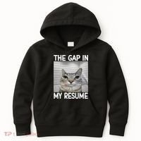 The Gap In My Resume Funny Cat Dank Meme Kids Hoodie thumb 0