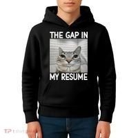 The Gap In My Resume Funny Cat Dank Meme Kids Hoodie thumb 4