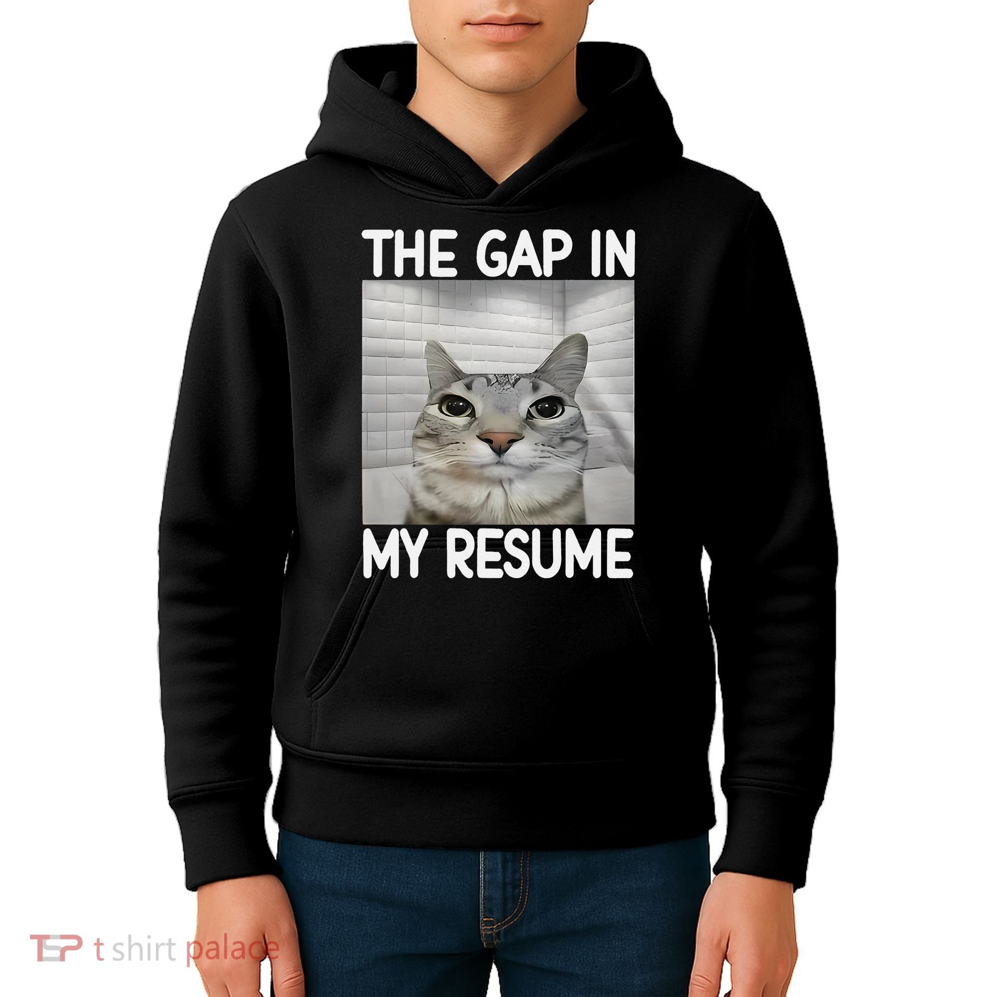 The Gap In My Resume Funny Cat Dank Meme Kids Hoodie